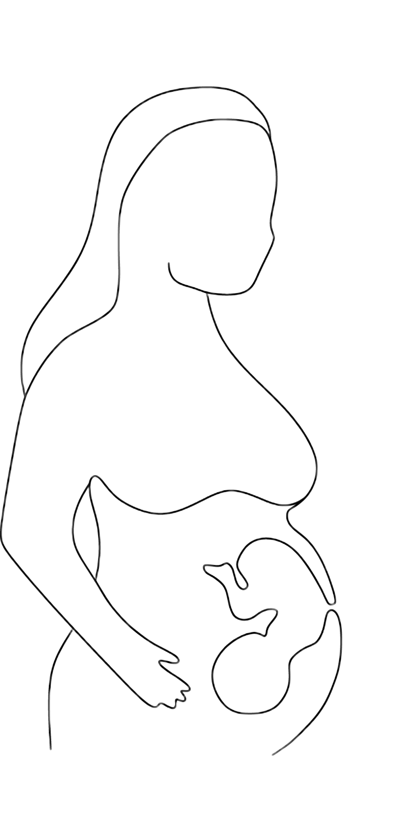 illustration af gravid kvinde